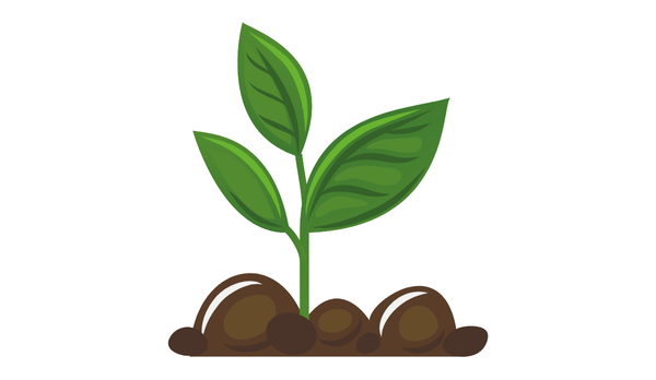 Produção Sustentável